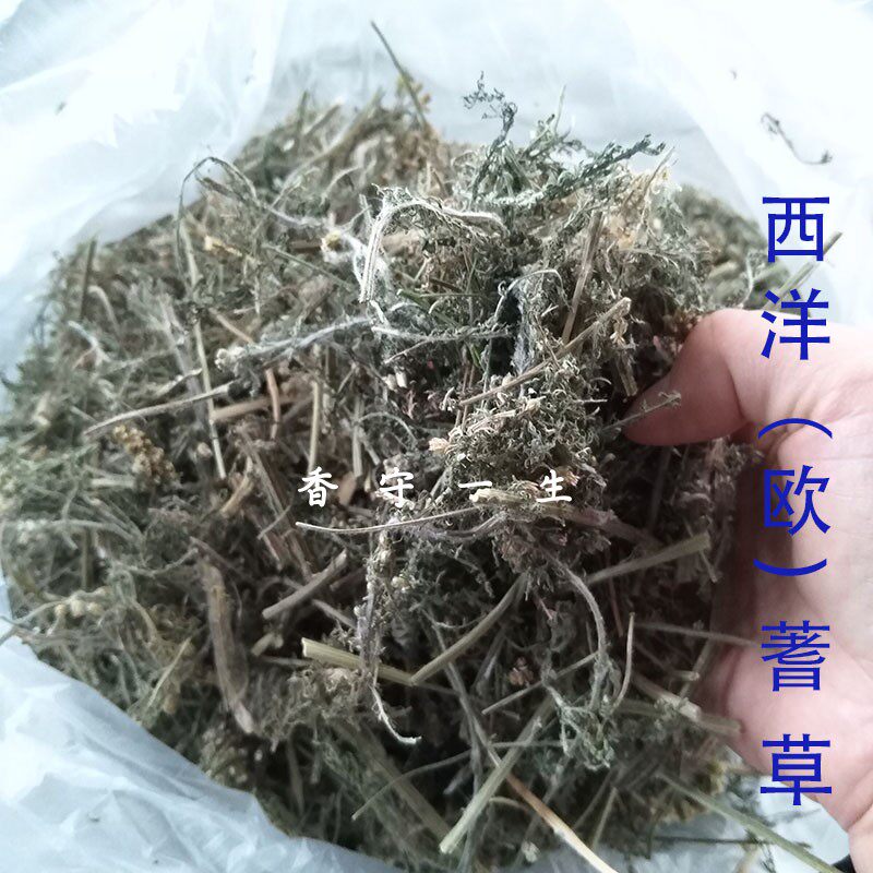 西洋蓍草干品欧蓍草禾叶蓍多叶句草浸泡提取母菊天蓝烃&小宠饲料