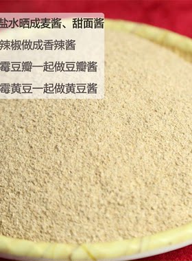 发酵小麦酱粉麦子粉甜面酱粉