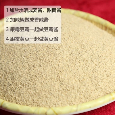 发酵小麦酱粉麦子粉甜面酱粉