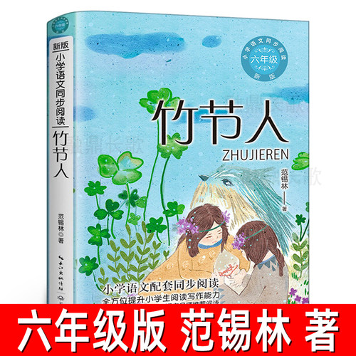 竹节人书范锡林六年级阅读正版