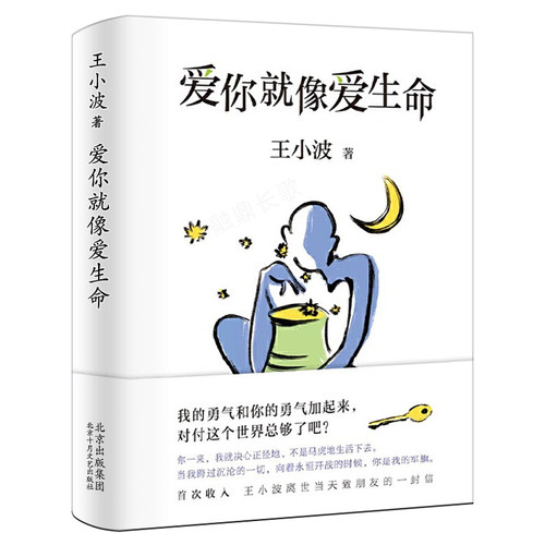 王小波的经典作品书籍