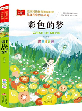 彩色的梦注音版高洪波著