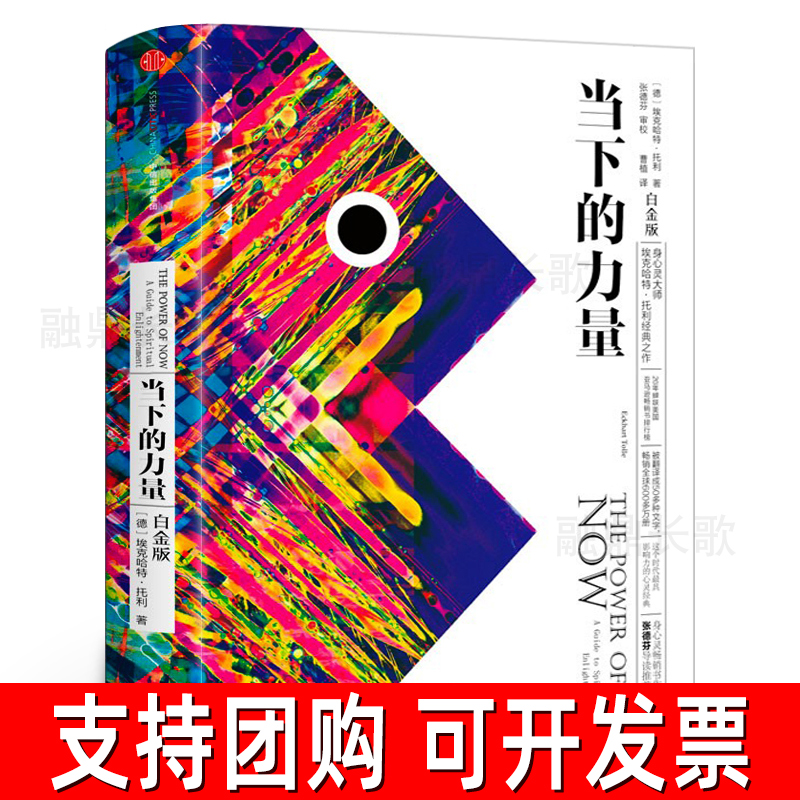 当下的力量新版白金版