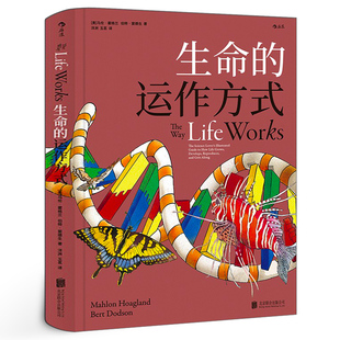 正版 公司 运作方式 基因DNA进化构造探索发现科普绘本书籍北京联合出版 生命 读物 包邮 科普百科书 初中高中中学生生物科学课外经典