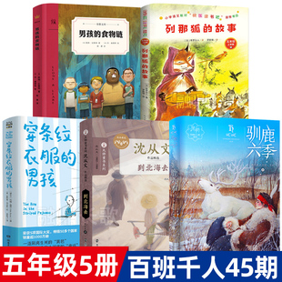 到北海去 穿条纹衣服 驯鹿六季 五年级课外书籍5册正版 故事 食物链 列那狐 百班千人祖庆说大阅小森kq45 男孩