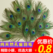 天然孔雀羽毛翎尾大眼睛DIY饰品家居摆设客厅婚庆花瓶装 饰品