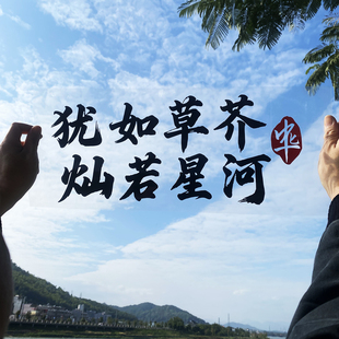 犹如草芥灿若星河个性汽车贴纸车门装饰贴车窗玻璃车贴电动车身贴