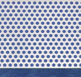 美国 DMT W8 8寸钻石磨刀石 蓝色 325目