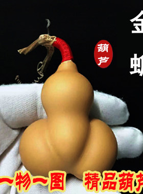 异形蚂蚁天津嘴一物一图小葫芦