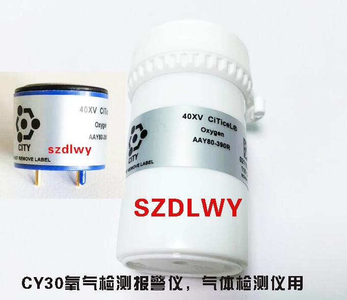 CY30便携式氧气检测仪氧气配件 氧电池 氧气头子 4OXV 原装现货