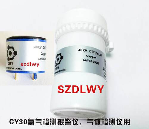 CY30便携式氧气检测仪氧气配件 氧电池 氧气头子 4OXV 原装现货