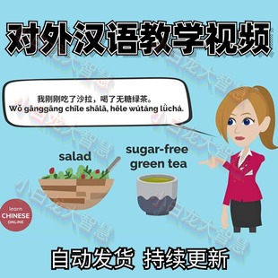 对外汉语教学动画视频课程外国人学习中文上课教学课件资料