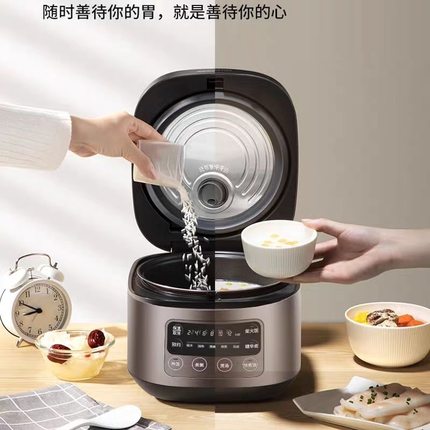九阳电饭煲F30FZ-F4170