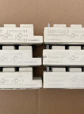 GD50HFK60C1S GD75HFK60C1S  斯达S【询价】