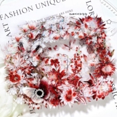 百搭红色花花咕卡流麻吧唧砖手帐pet胶带分装 Palette 朱砂夜昙