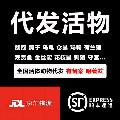 活体代寄顺丰京东乌龟鹦鹉鱼活物兔仓鼠守宫快递上门取件宠物代发