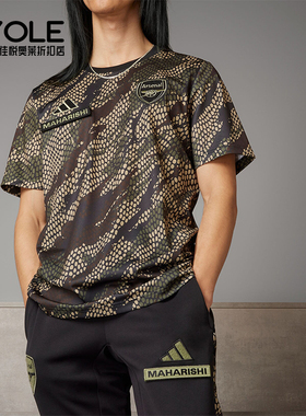 Adidas/阿迪达斯正品阿森纳联名男士足球训练运动短袖IN4752