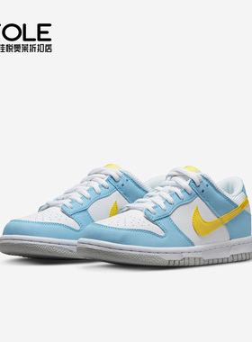 Nike/耐克正品Dunk Low新款女子运动低帮休闲板鞋DX3382-400