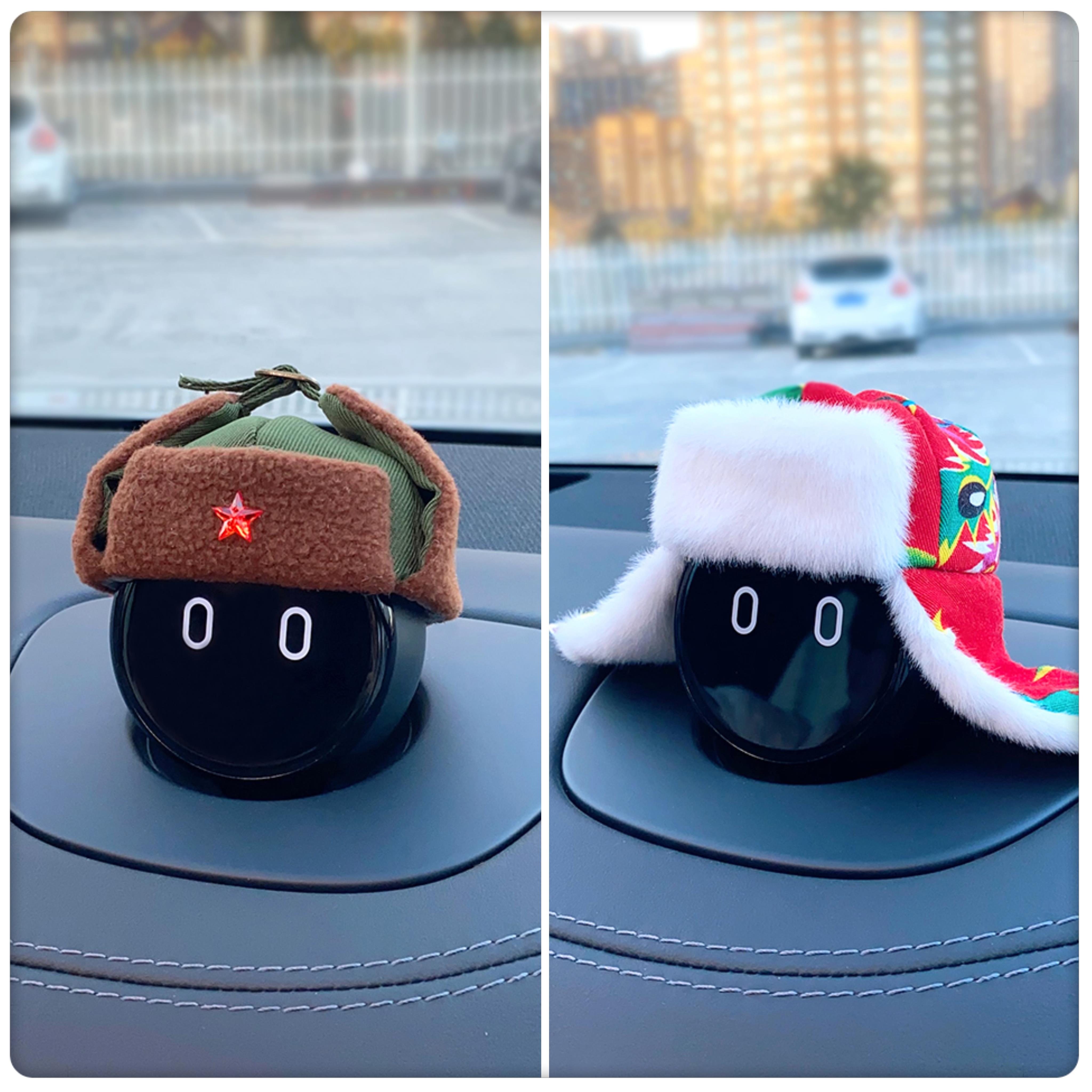 【东北大花雷锋帽】蔚来N