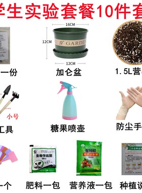 重瓣凤仙花种子学生科学实验套餐阳台植指甲花籽孑庭院室内外盆栽