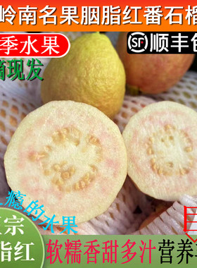广州增城胭脂红石榴软糯香甜芭乐低糖鸡屎果新鲜现摘番石榴礼盒装