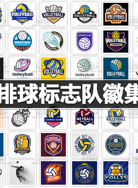 ai矢量体育运动排球比赛标志会徽队徽图标球队商标平面设计素材图