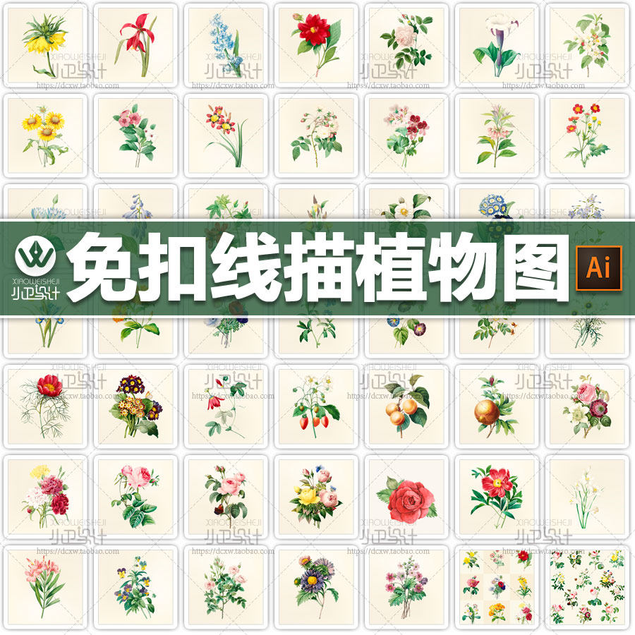 免扣精美写实手绘植物花卉草药素描线描插画插图ai平面设计素材图