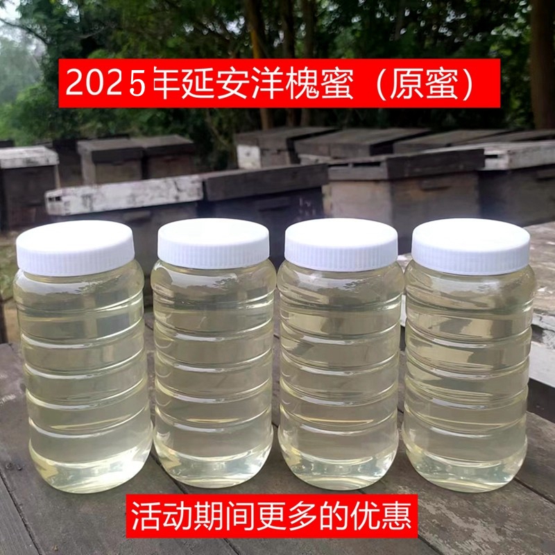 2025年新鲜洋槐蜜农家自产新鲜成熟野生槐花蜂蜜孕妇儿童