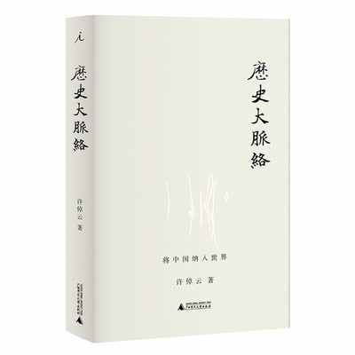 历史大脉络 精装 将中国人纳入世界 中国研究历史 文化历史 一部气势磅礴的大历史 理想国