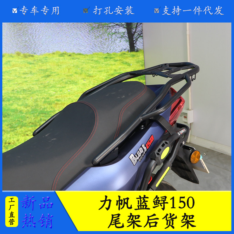 力帆蓝鲟150后备箱架摩托车尾翼
