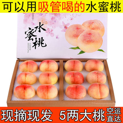 现货正宗无锡白凤水蜜桃5两12礼盒水果新鲜孕妇软桃子当季蜜桃子