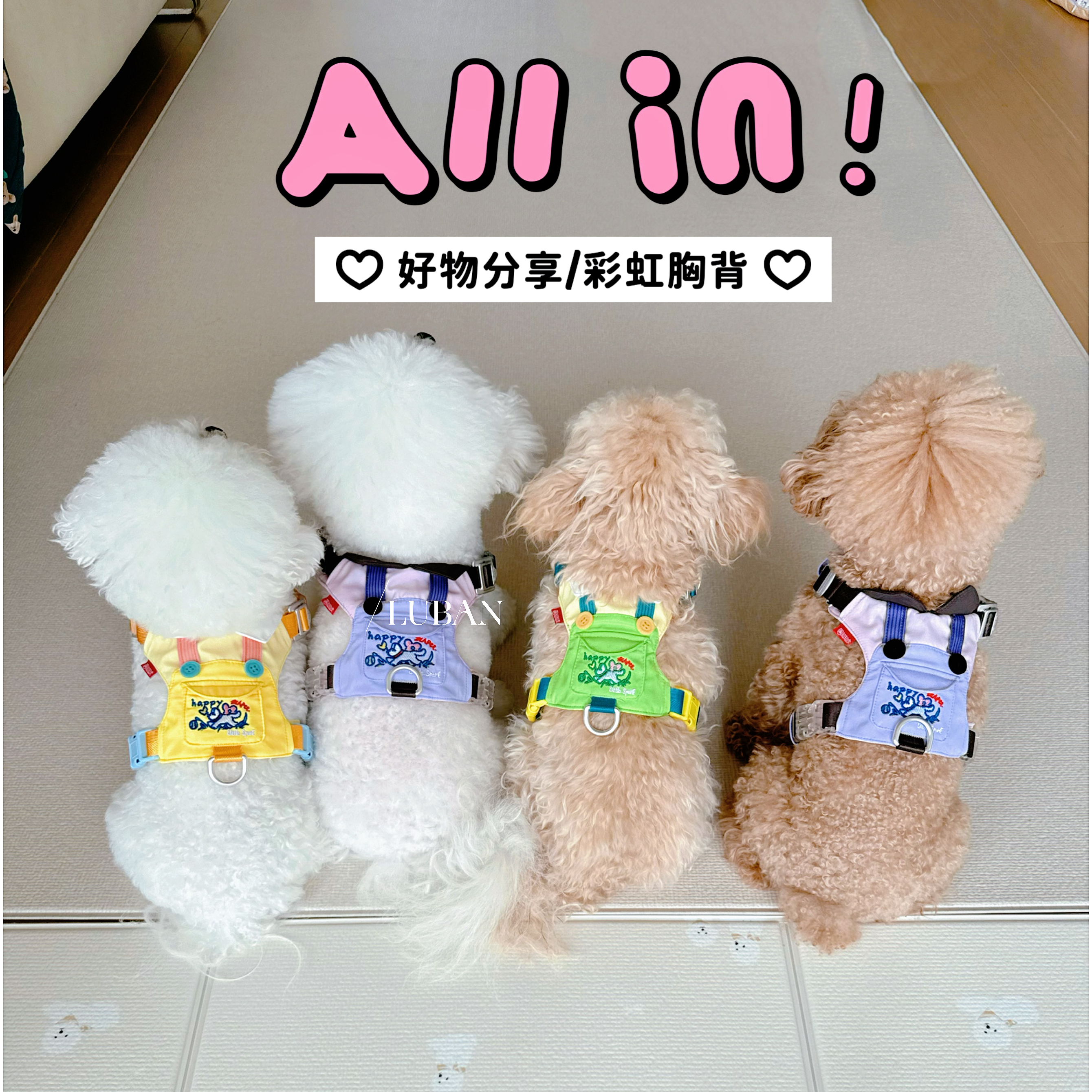 【彩虹胸背】LUBAN知知虎设计师款胸背版权宠物遛狗小中大型犬