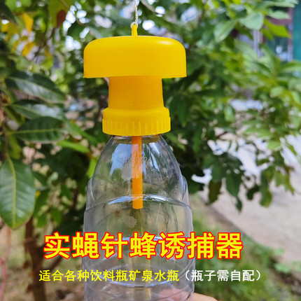 经济迷你型实蝇诱捕器 果场园林菜地桔小实蝇针蜂捕捉 浓缩引诱剂