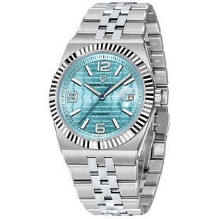 伯佳尼PAGANI DESIGN男士手表全自动机械精钢表带夜光腕表PDYS027