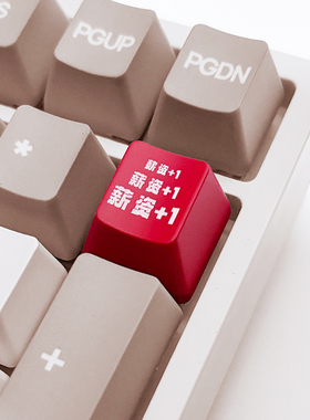 薪资+1 打工人个性键帽 R4键帽 OEM高度 机械键盘键帽红色透光ESC