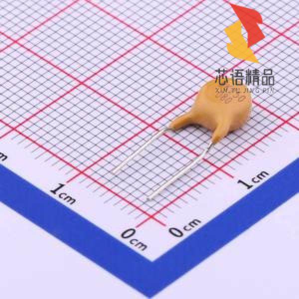 全新BK250-080-DY-E0.5原装(0.08A 250V)正品