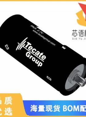 全新TPLH-2R7/3000SL60138原装(CAP 3000F 2.7V CHAS