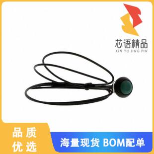 SPST PUSH SWITCH 全新PB7B2FM6M1CAL00Y500原装