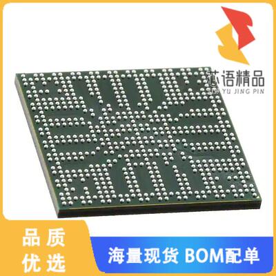 全新DM385AAAR11F原装(IC DGTL MEDIA PROCESSOR 609