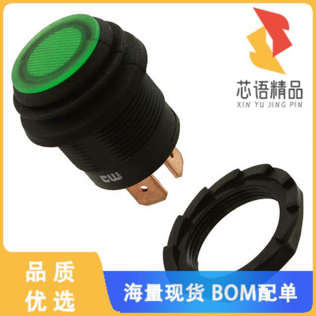 全新GPB553A2L01BG原装(SWITCH PUSH SPST-NO 10A 14