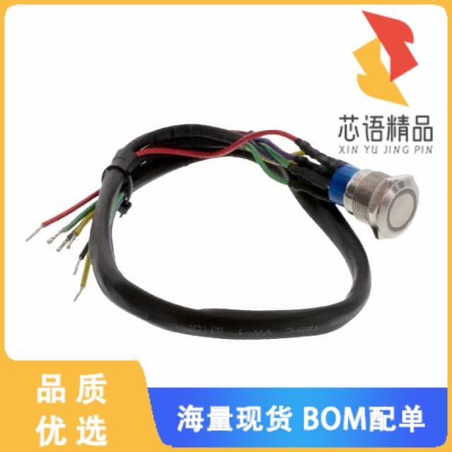 全新AV1920EG12T5Q04原装(SWITCH PUSHBUTTON DPDT 3