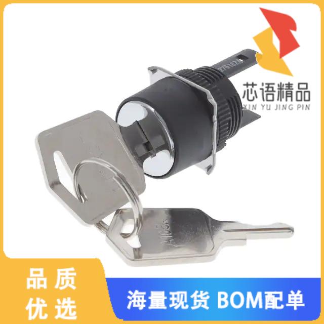 全新A165K-T2ML原装(CONFIG SW BODY KEY NON-ILLUM)正品