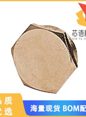 全新09000005070原装(ACCES BLANKING PIECE PG 11 W