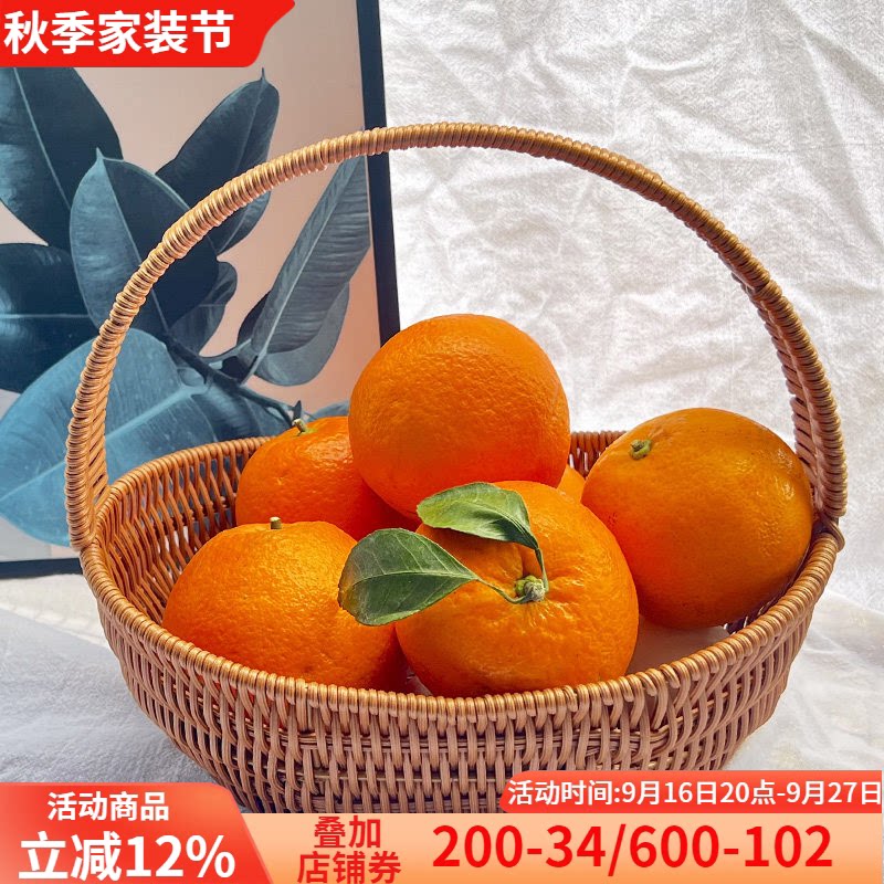 手工编织环保PP+铁丝田园风