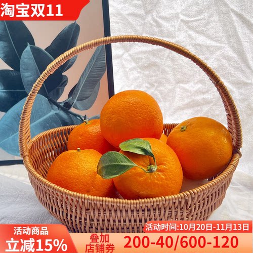 手工编织环保PP+铁丝田园风
