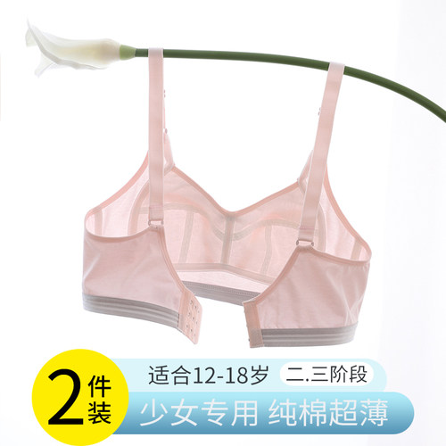 三阶段女纯棉定型杯少女内衣学生
