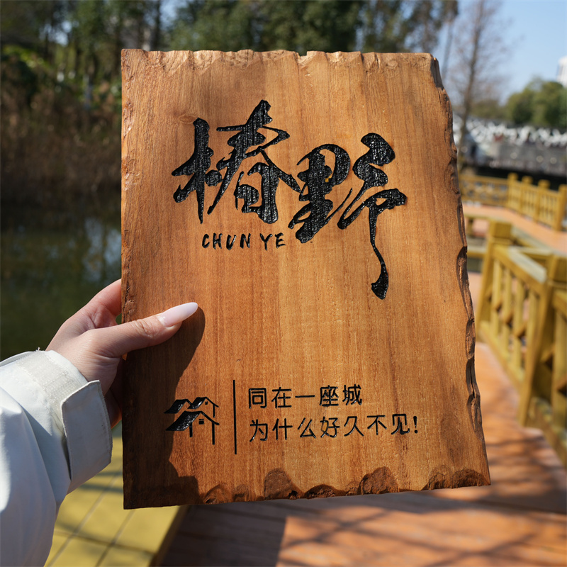 工作室logo门牌定制广告牌展示牌实木牌匾公司民宿门头招牌定做