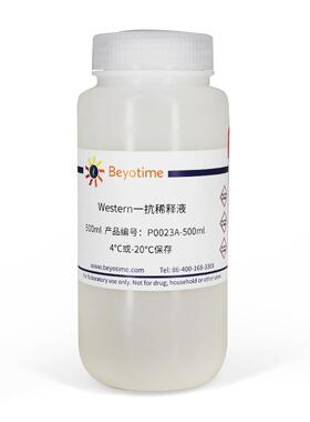 P0023A-500ml Western一抗稀释液 碧云天