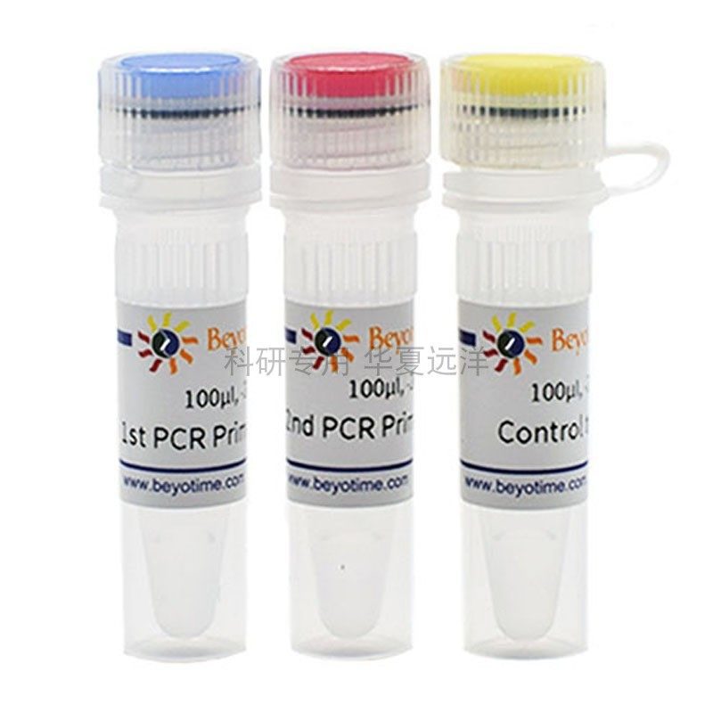 C0301S-250次 支原体PCR检测试剂盒