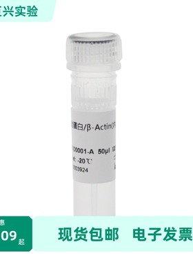 BOAR-D0001-A β-Actin Rabbit Polyclonal内参抗体Biosharp/白鲨